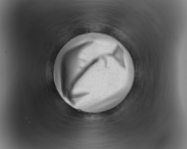 X0000088451058200706191307