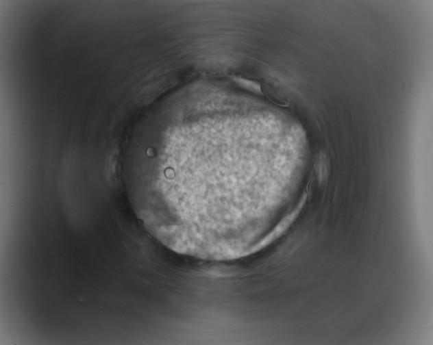 X0000088451059200706191307