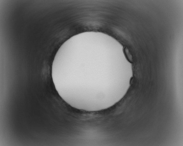 X0000088451061200706191307