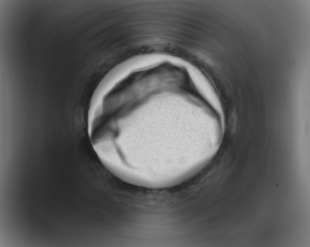 X0000088451062200706191307
