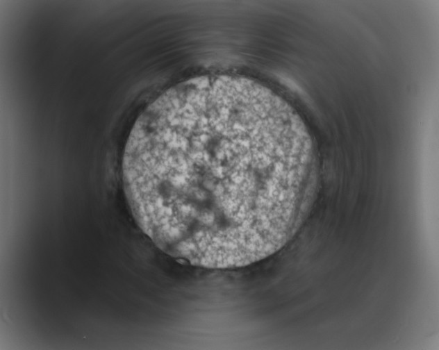 X0000088451063200706191307