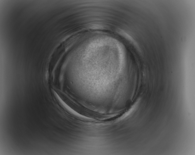 X0000088451065200706191307
