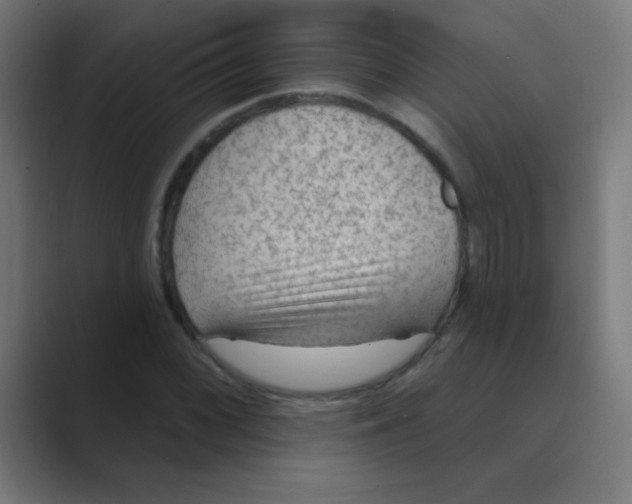 X0000088451068200706191307