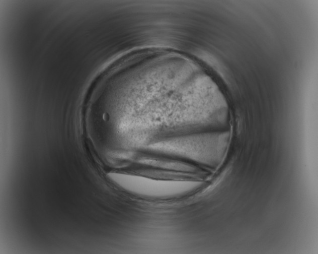 X0000088451069200706191307