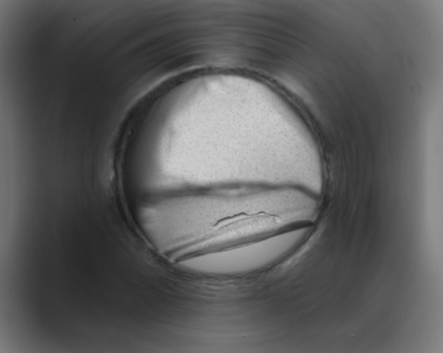 X0000088451070200706191307