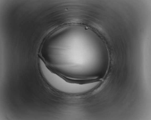 X0000088451073200706191307