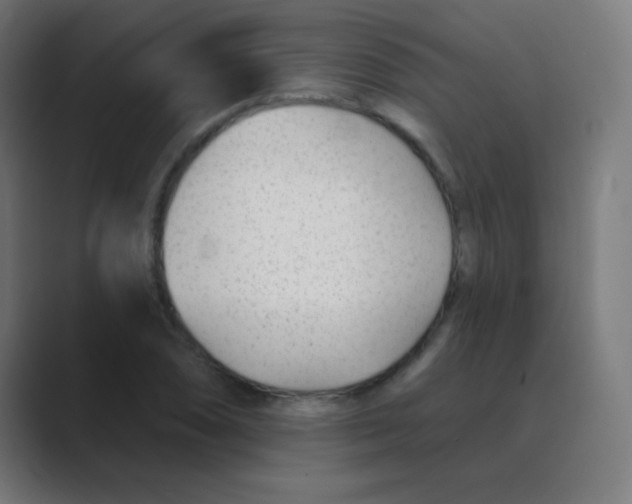 X0000088451074200706191307