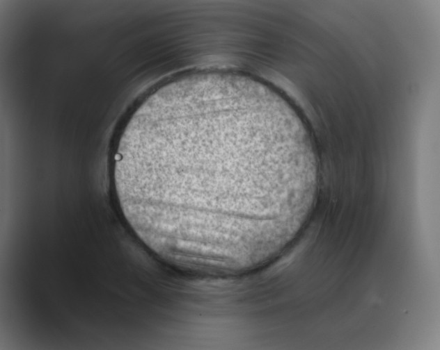 X0000088451075200706191307