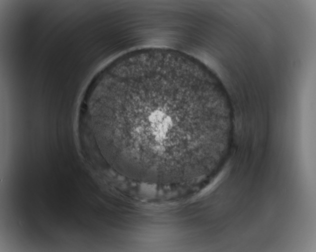 X0000088451077200706191307