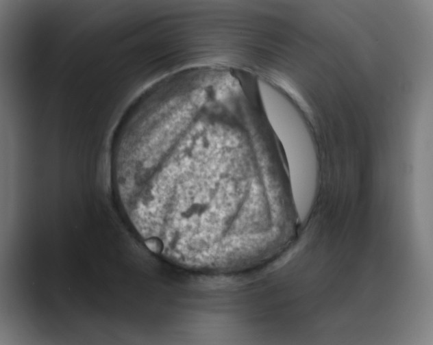 X0000088451079200706191307