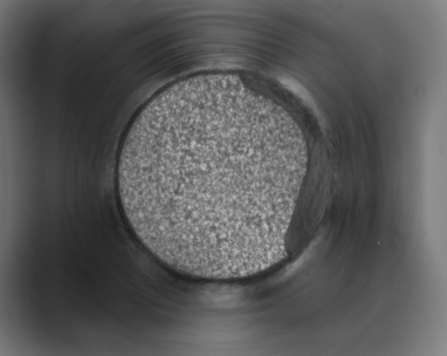 X0000088451081200706191307