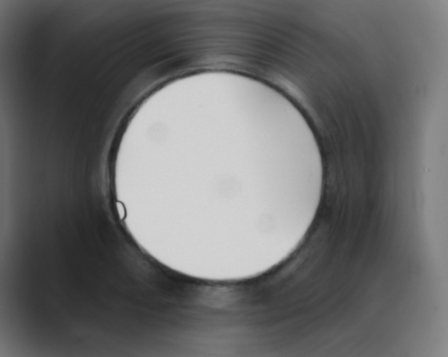 X0000088451082200706191307