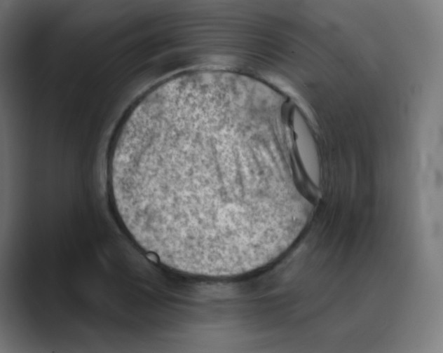 X0000088451083200706191307