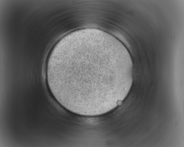 X0000088451084200706191307