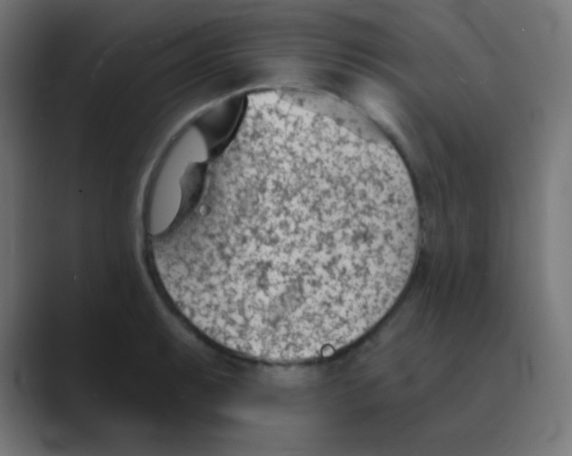 X0000088451087200706191307