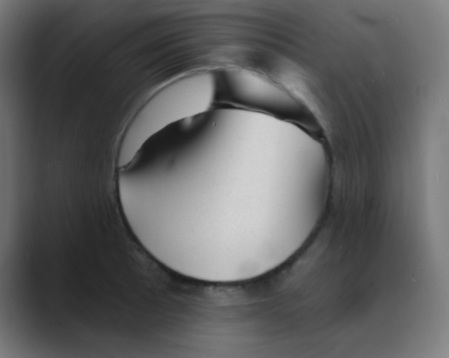 X0000088451089200706191307