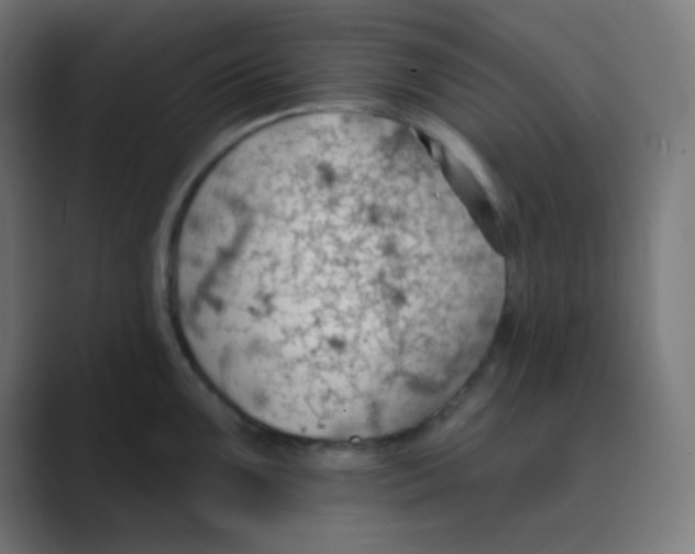 X0000088451099200706191306