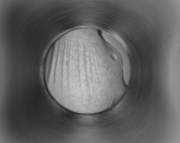 X0000088451100200706191306