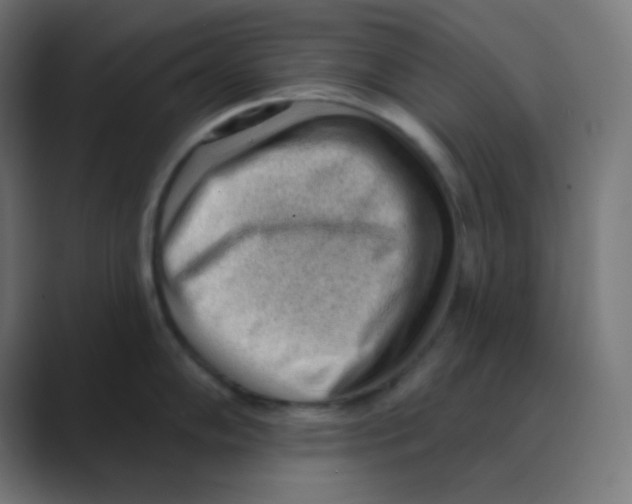 X0000088451102200706191306