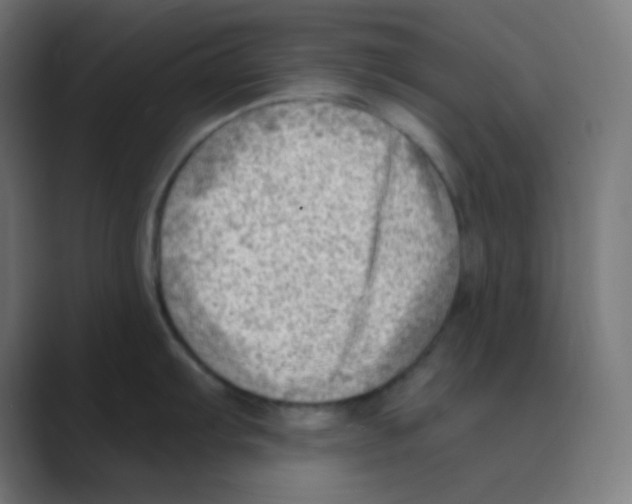 X0000088451103200706191306