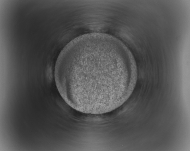 X0000088451106200706191306