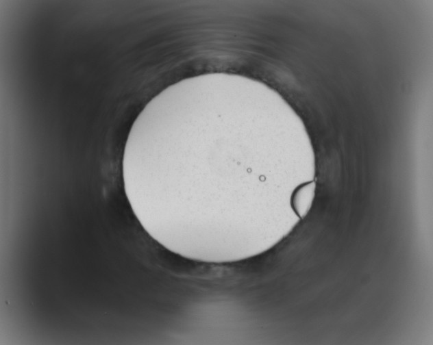 X0000088451109200706191306