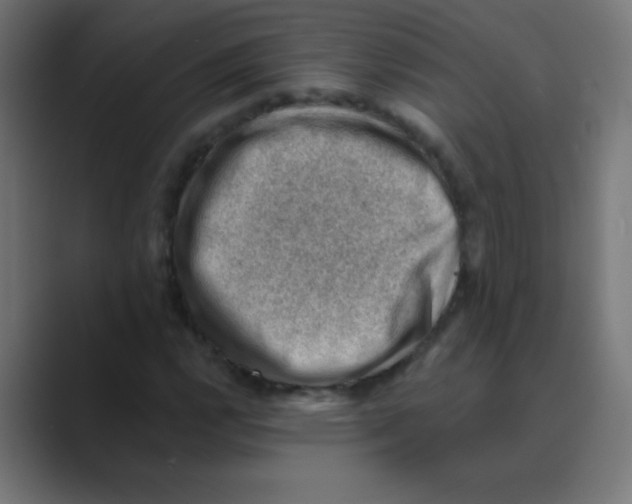 X0000088451112200706191306