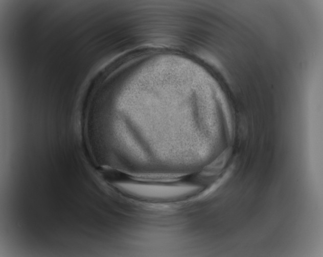 X0000088451114200706191306