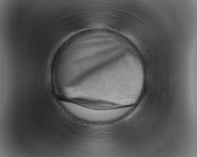 X0000088451118200706191306