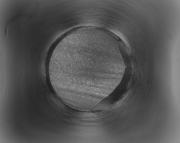 X0000088451120200706191306