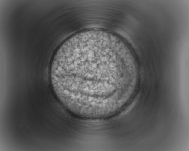 X0000088451121200706191306