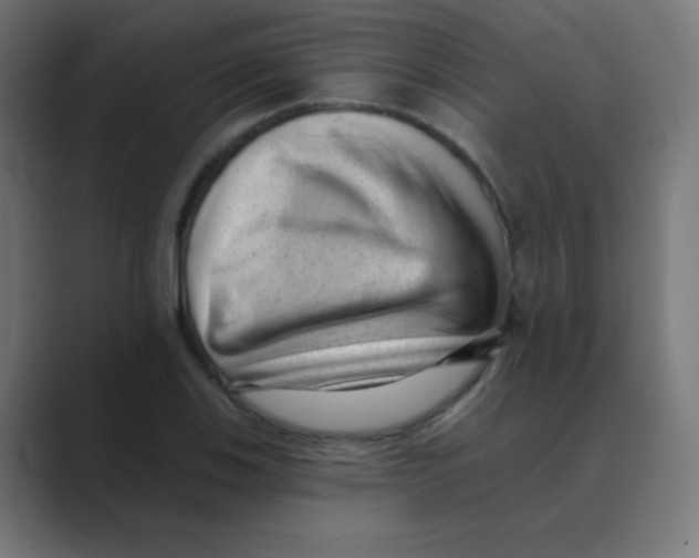 X0000088451123200706191306