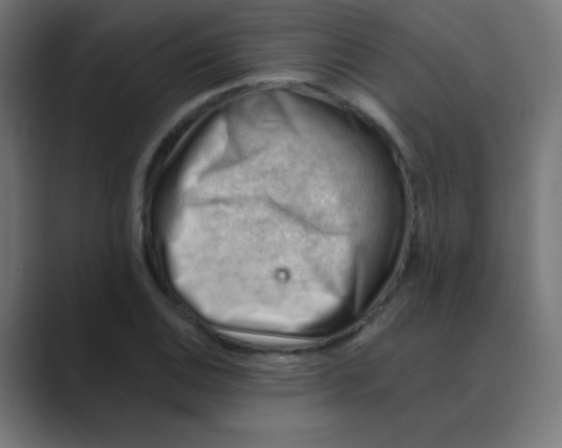 X0000088451124200706191306