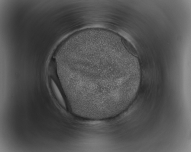 X0000088451127200706191306