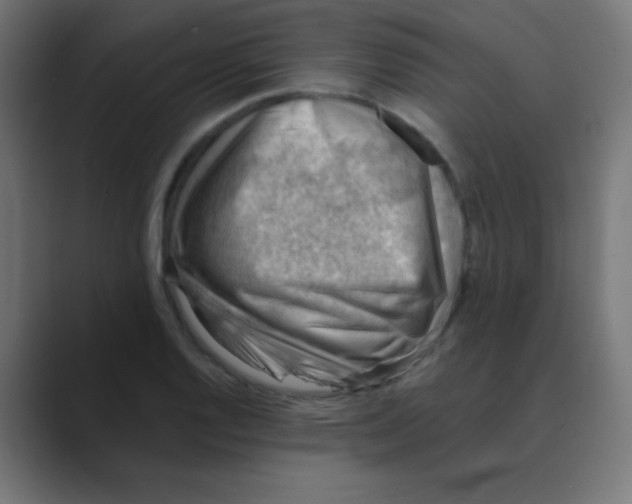 X0000088451128200706191306