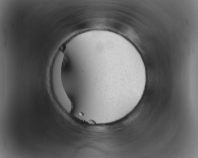 X0000088451134200706191306