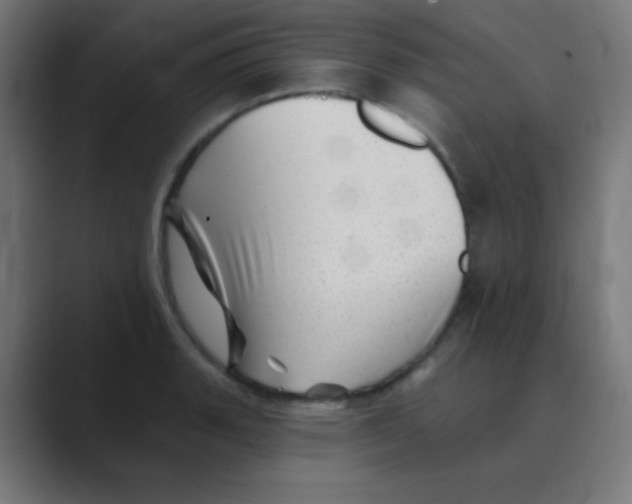 X0000088451135200706191306