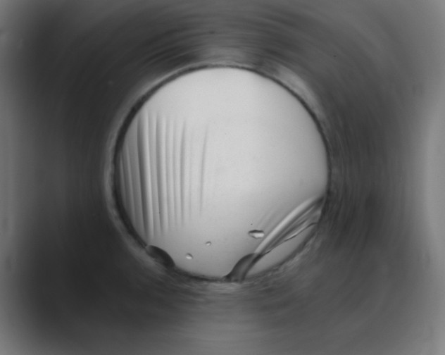 X0000088451136200706191306