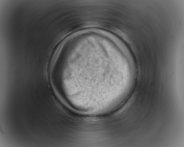 X0000088451137200706191306