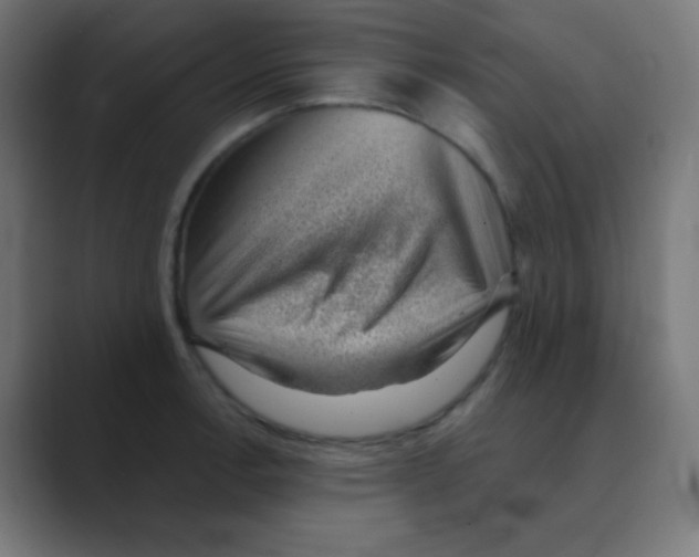 X0000088451138200706191306
