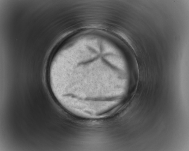 X0000088451139200706191306