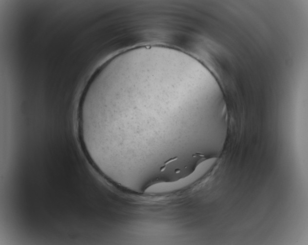 X0000088451143200706191306