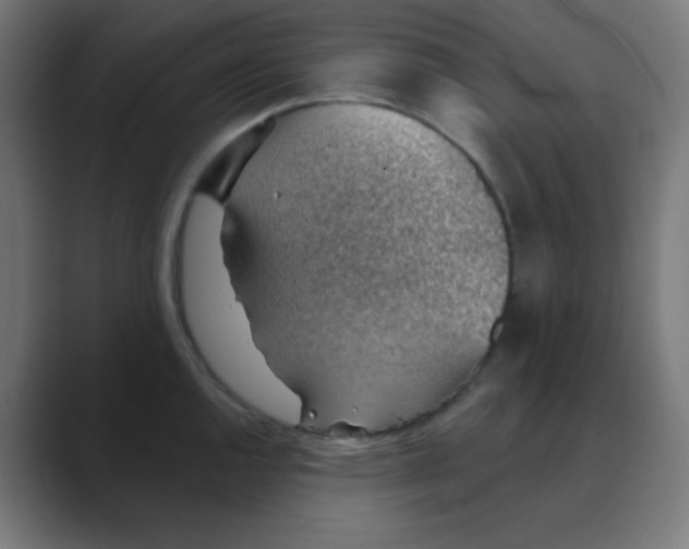 X0000088451144200706191306