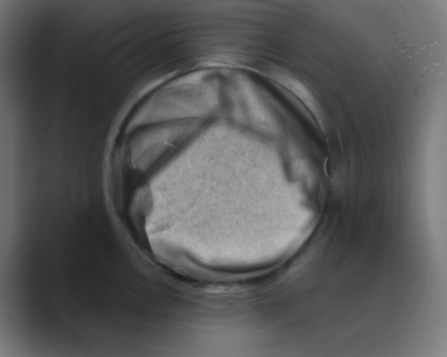 X0000088451146200706191306