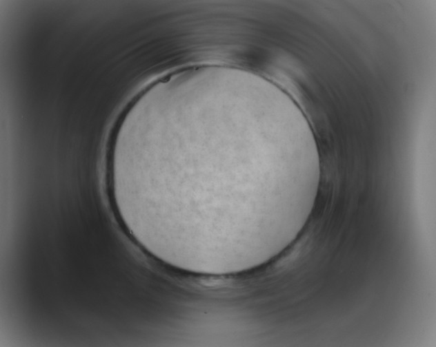 X0000088451147200706191306