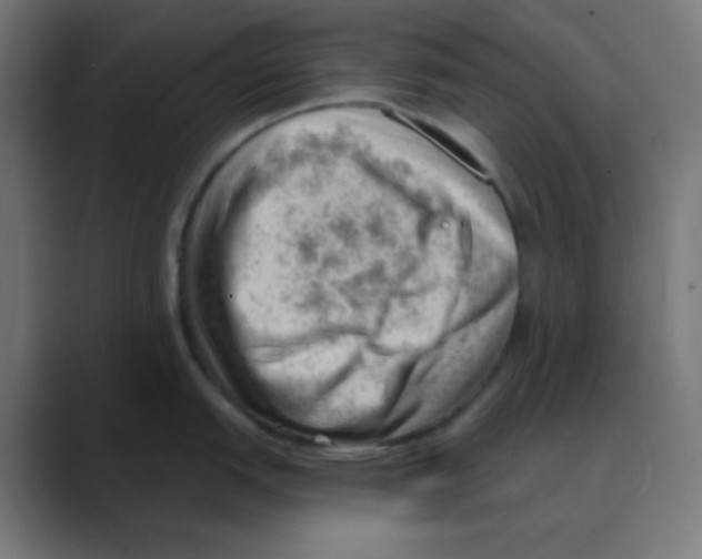 X0000088451151200706191306