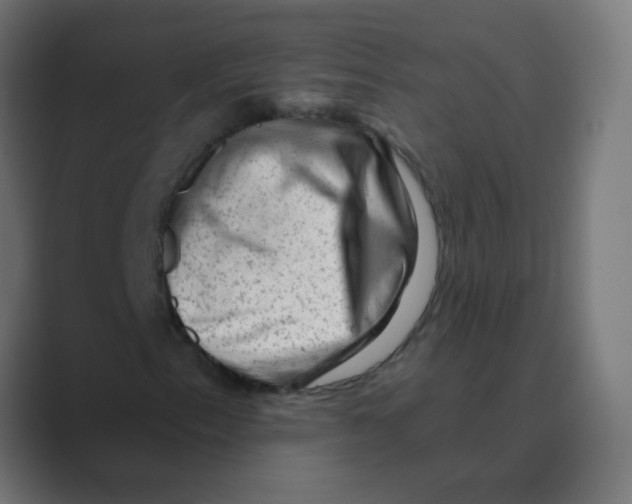 X0000088451153200706191306