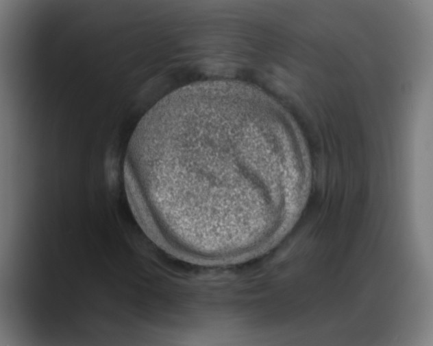 X0000088451154200706191306
