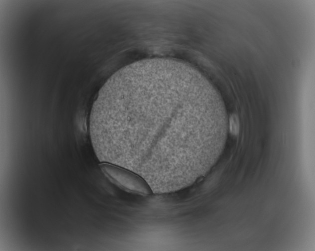 X0000088451155200706191306