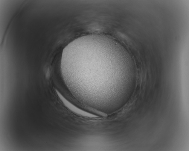 X0000088451157200706191306